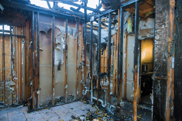 Professional Fire Damage Assessment technician working in Bonnie Brae, IL